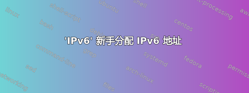 'IPv6' 新手分配 IPv6 地址