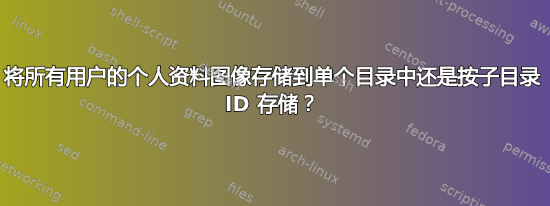 将所有用户的个人资料图像存储到单个目录中还是按子目录 ID 存储？