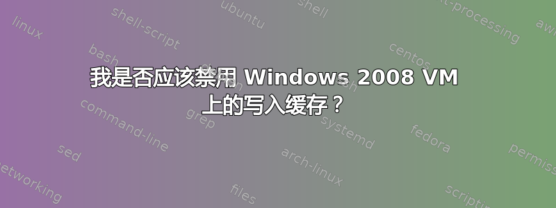 我是否应该禁用 Windows 2008 VM 上的写入缓存？