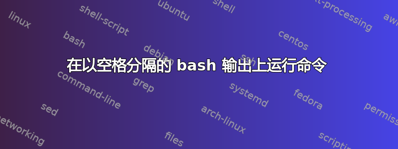 在以空格分隔的 bash 输出上运行命令