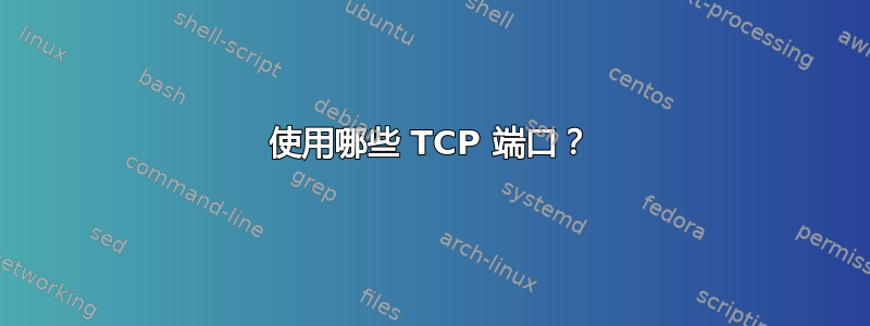 使用哪些 TCP 端口？