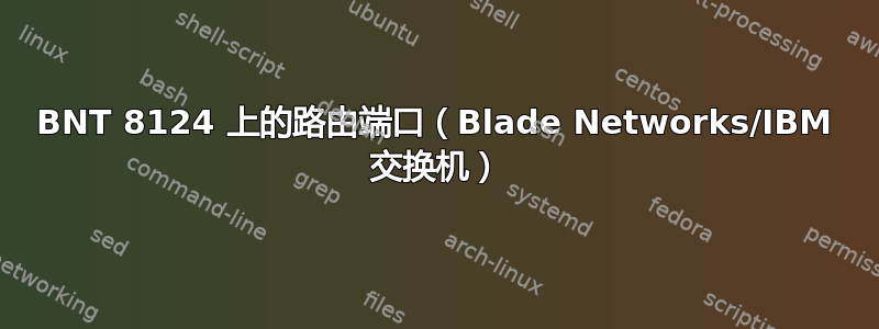 BNT 8124 上的路由端口（Blade Networks/IBM 交换机）