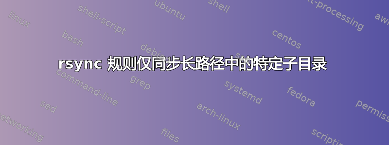 rsync 规则仅同步长路径中的特定子目录