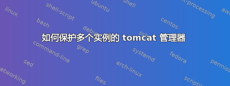 如何保护多个实例的 tomcat 管理器