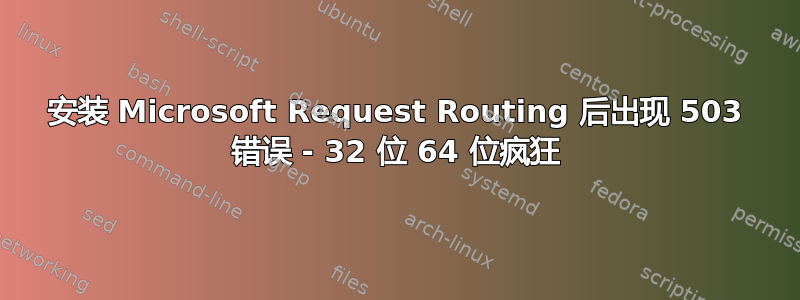 安装 Microsoft Request Routing 后出现 503 错误 - 32 位 64 位疯狂