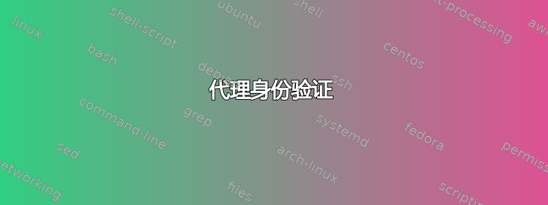 代理身份验证