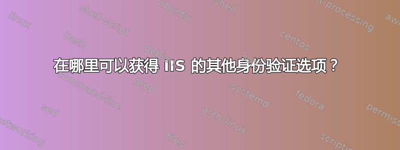 在哪里可以获得 IIS 的其他身份验证选项？