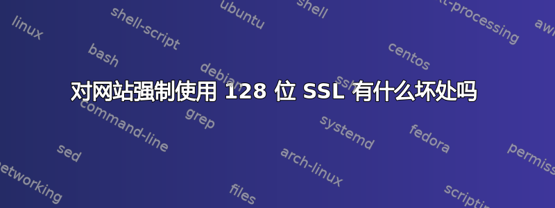 对网站强制使用 128 位 SSL 有什么坏处吗