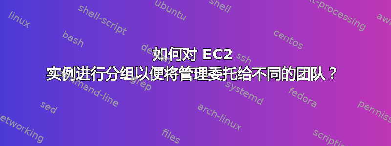 如何对 EC2 实例进行分组以便将管理委托给不同的团队？