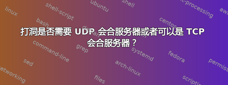 打洞是否需要 UDP 会合服务器或者可以是 TCP 会合服务器？