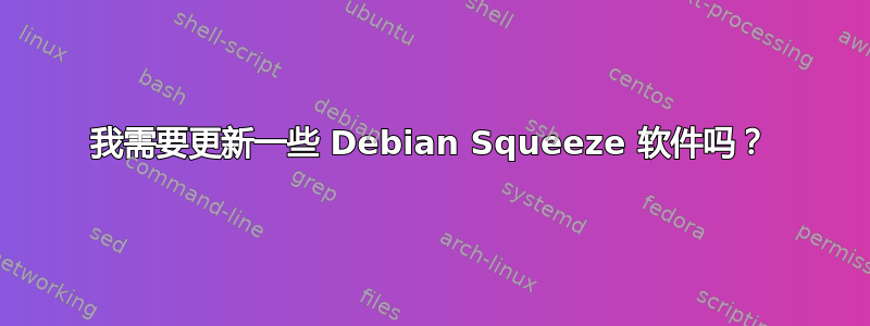 我需要更新一些 Debian Squeeze 软件吗？