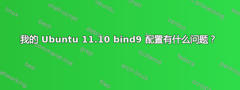 我的 Ubuntu 11.10 bind9 配置有什么问题？