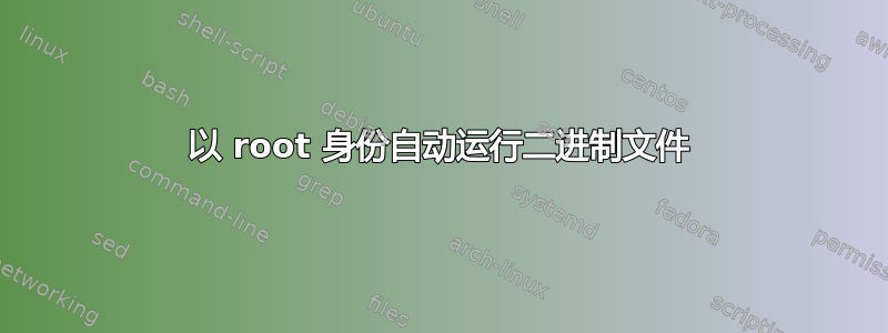 以 root 身份自动运行二进制文件