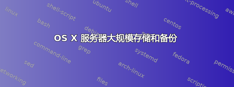 OS X 服务器大规模存储和备份