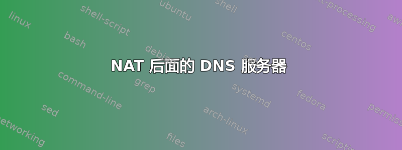 NAT 后面的 DNS 服务器