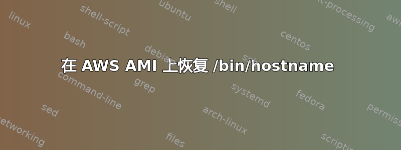 在 AWS AMI 上恢复 /bin/hostname