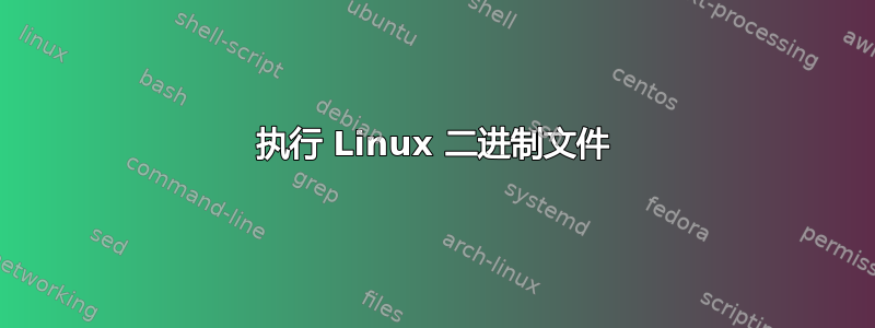 执行 Linux 二进制文件