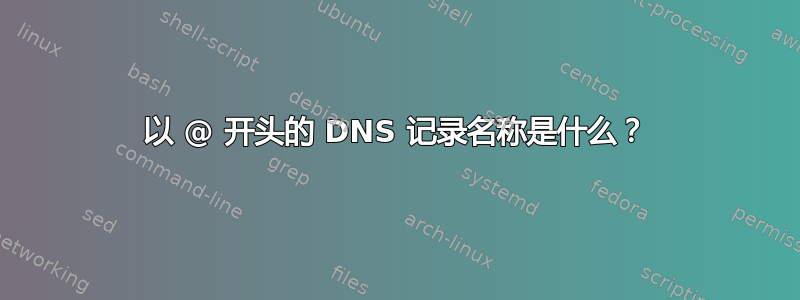 以 @ 开头的 DNS 记录名称是什么？