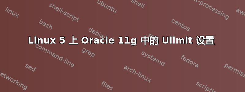 Linux 5 上 Oracle 11g 中的 Ulimit 设置