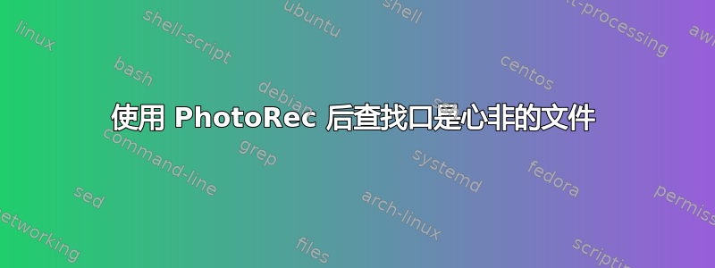 使用 PhotoRec 后查找口是心非的文件