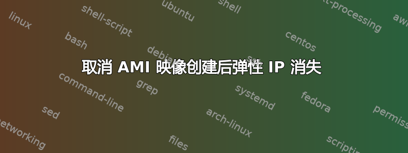 取消 AMI 映像创建后弹性 IP 消失