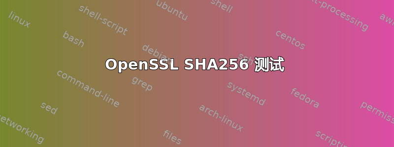 OpenSSL SHA256 测试