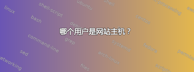 哪个用户是网站主机？