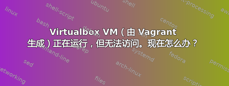 Virtualbox VM（由 Vagrant 生成）正在运行，但无法访问。现在怎么办？