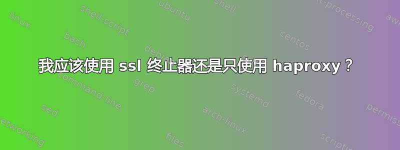 我应该使用 ssl 终止器还是只使用 haproxy？