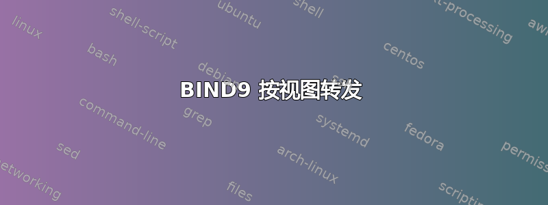 BIND9 按视图转发