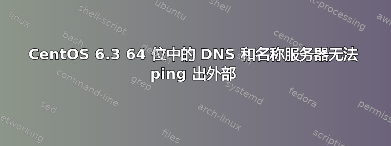 CentOS 6.3 64 位中的 DNS 和名称服务器无法 ping 出外部