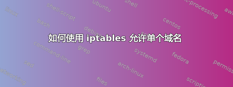 如何使用 iptables 允许单个域名