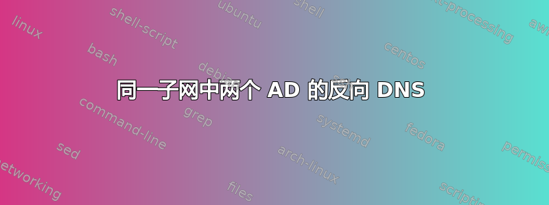 同一子网中两个 AD 的反向 DNS