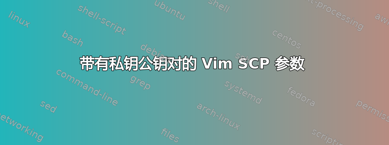 带有私钥公钥对的 Vim SCP 参数