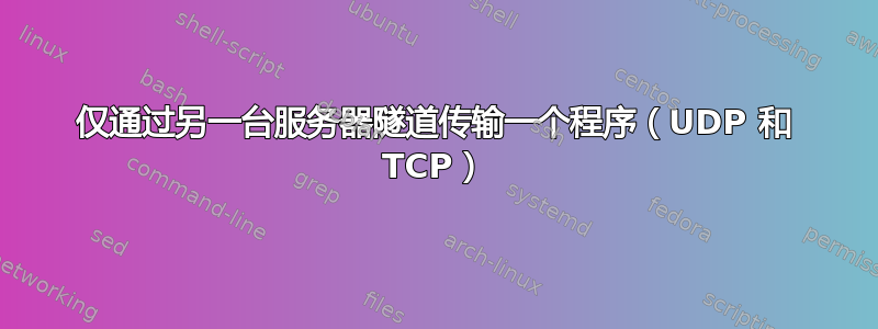 仅通过另一台服务器隧道传输一个程序（UDP 和 TCP）