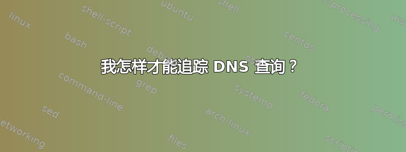 我怎样才能追踪 DNS 查询？