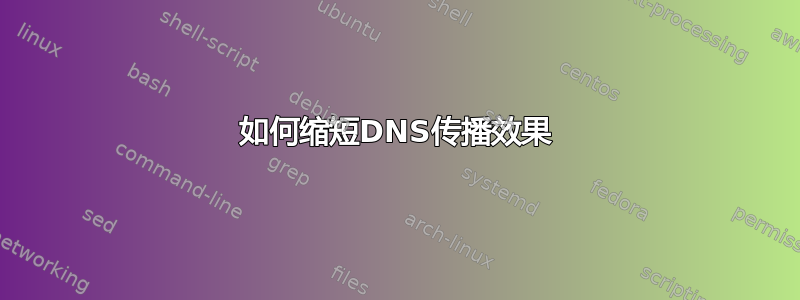 如何缩短DNS传播效果