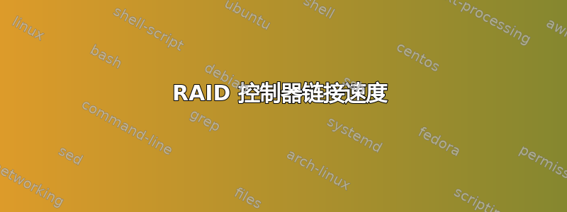 RAID 控制器链接速度