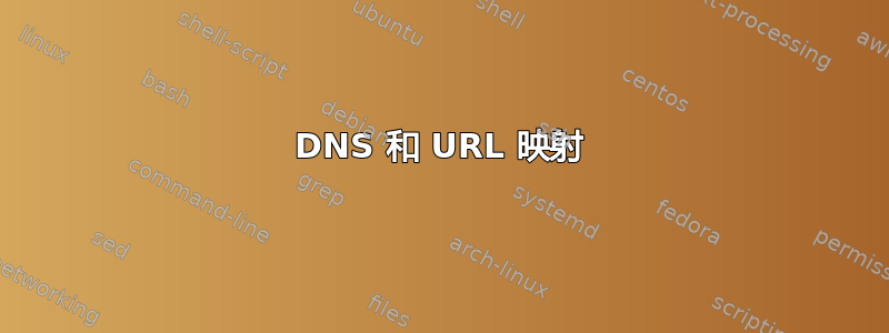 DNS 和 URL 映射