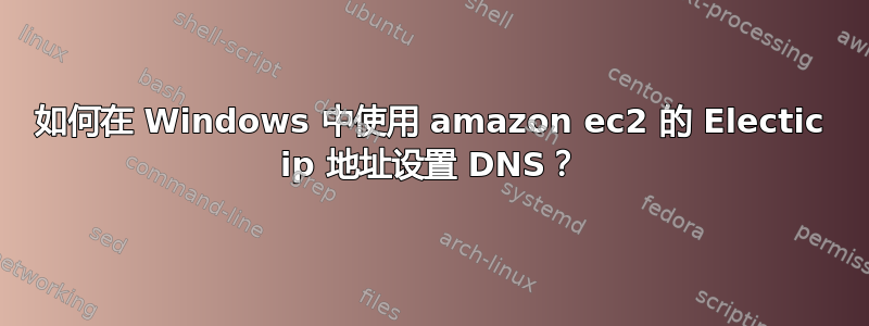 如何在 Windows 中使用 amazon ec2 的 Electic ip 地址设置 DNS？