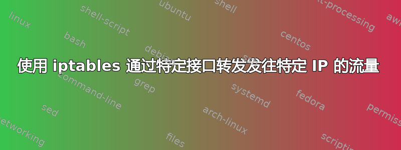 使用 iptables 通过特定接口转发发往特定 IP 的流量