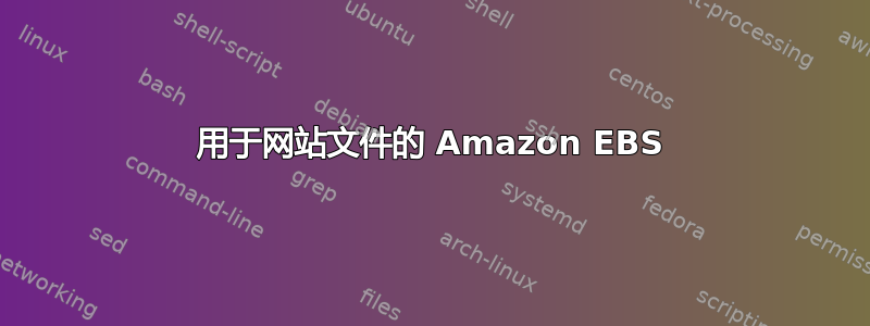 用于网站文件的 Amazon EBS