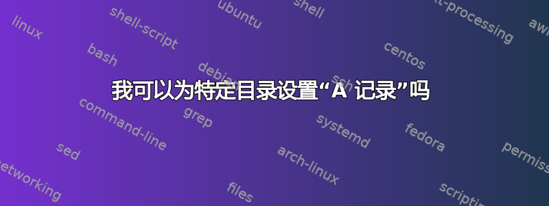 我可以为特定目录设置“A 记录”吗