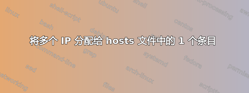 将多个 IP 分配给 hosts 文件中的 1 个条目