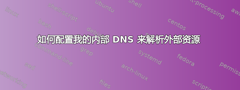 如何配置我的内部 DNS 来解析外部资源