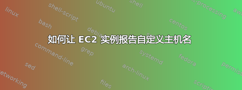 如何让 EC2 实例报告自定义主机名