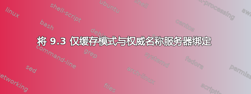 将 9.3 仅缓存模式与权威名称服务器绑定