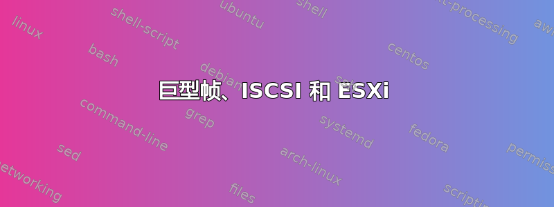 巨型帧、ISCSI 和 ESXi