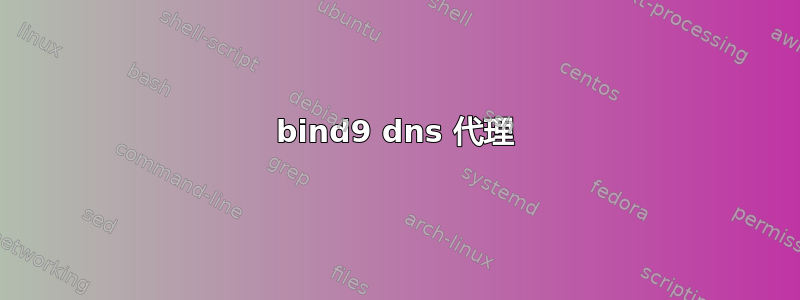 bind9 dns 代理