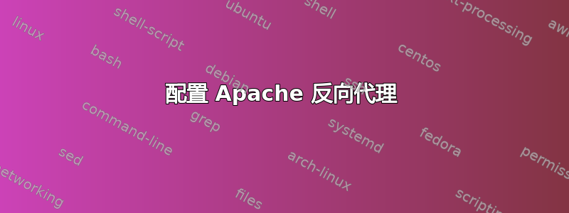 配置 Apache 反向代理